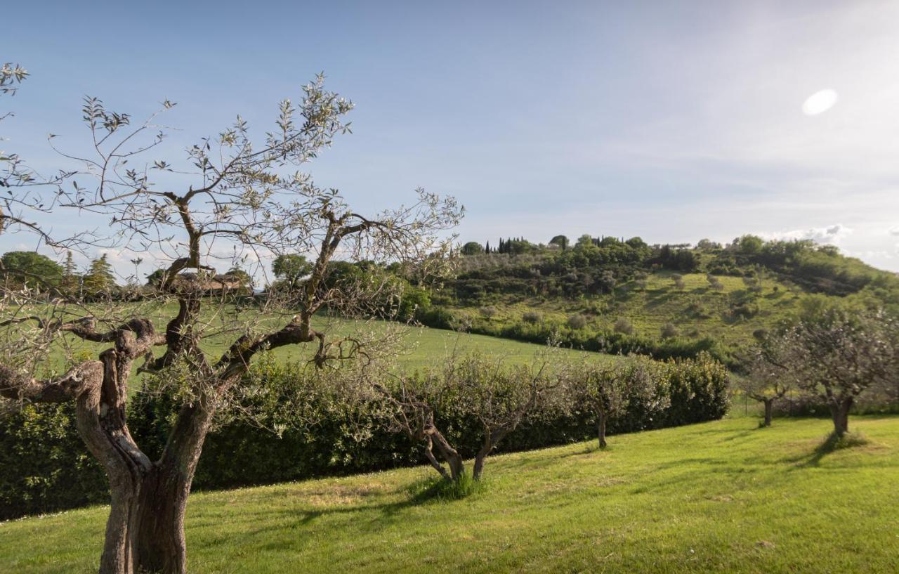 Residenza Il Falchetto Assis Exterior foto