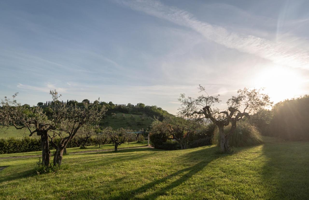 Residenza Il Falchetto Assis Exterior foto